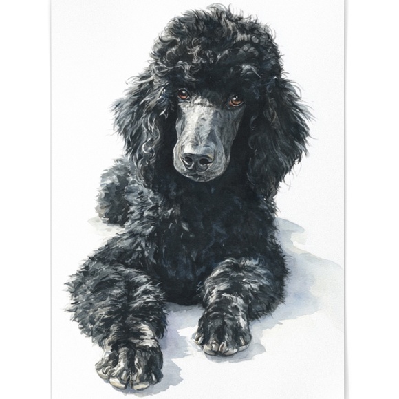 Watercolor Black Poodle Portrait Wall Art Print Poster, Unframed - Pet Artwork - Picture 2 of 6
